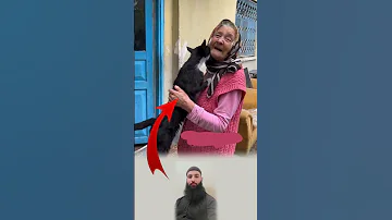 الرحمة لا يحدها عمرودفء القلوب يصنعه أبسط ما حولنا اكسبلور لايك ترند تحفيز Funny Fyp Shorts 