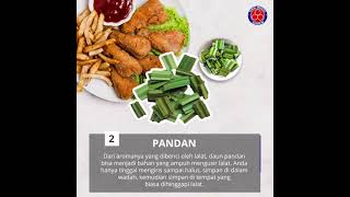 Terbukti Dan Ampuh Cara Mengusir Lalatshortskurniawan 007pengetahuan