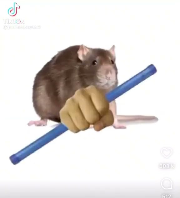rat-with-a-groan-tube-meme-youtube