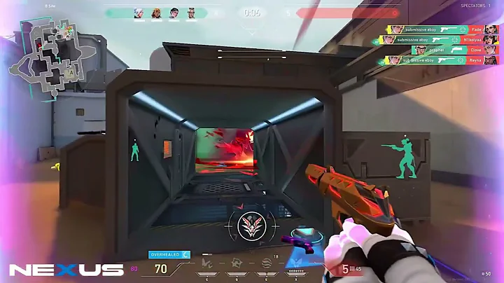 The BEST Valorant Colorbot🎯(Undetected)