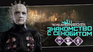 Ачивки Пинхэда сломаны (Dead by Daylight. Полная катка)