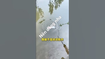 Mùa hè mà không chuẩn bị túi chống nước thì đúng là sai lầm, giá ở khu du lịch không rẻ đâu! #review