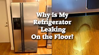 Why Is My Refrigerator Leaking? Fix for Water Dripping from Ice-Maker Door Flapper — GE Side-by-Side