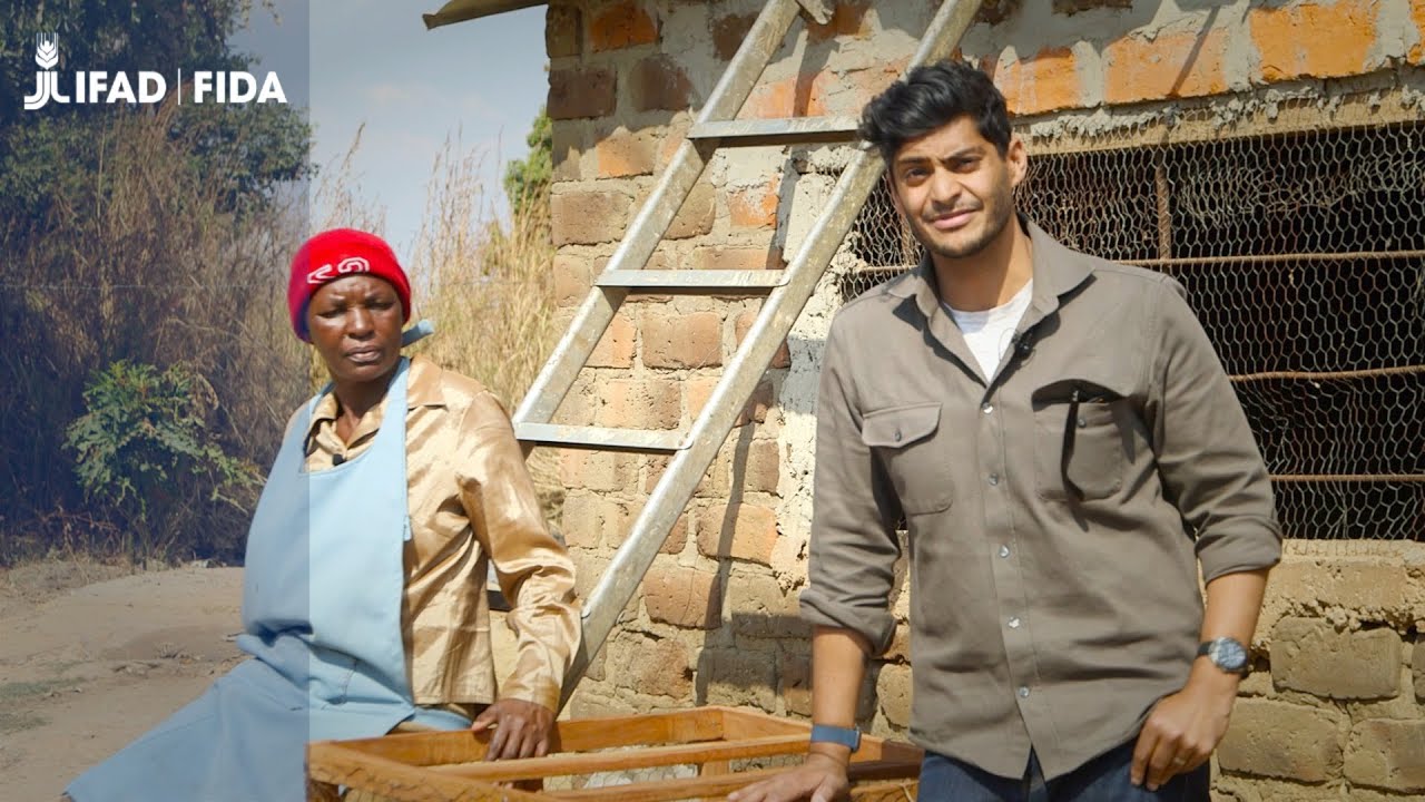 ZAMBIA Counting your chickens how livestock helped farmers recover