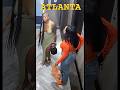 #breakingnews #crime #news #fultoncounty two women wanted for robbery & drugging man for his watches