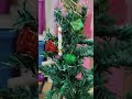 Merry Christmas 2025 #christmas #christmastree