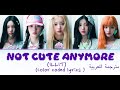 ترجمة اغنية ايليت Not Cute Anymor 