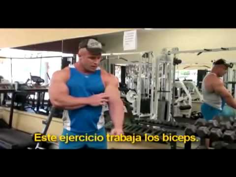 Rutina de Biceps - YouTube