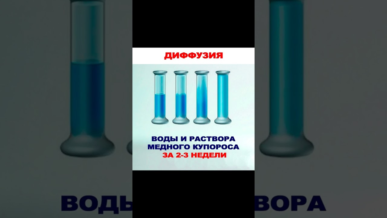 Мем про диффузию