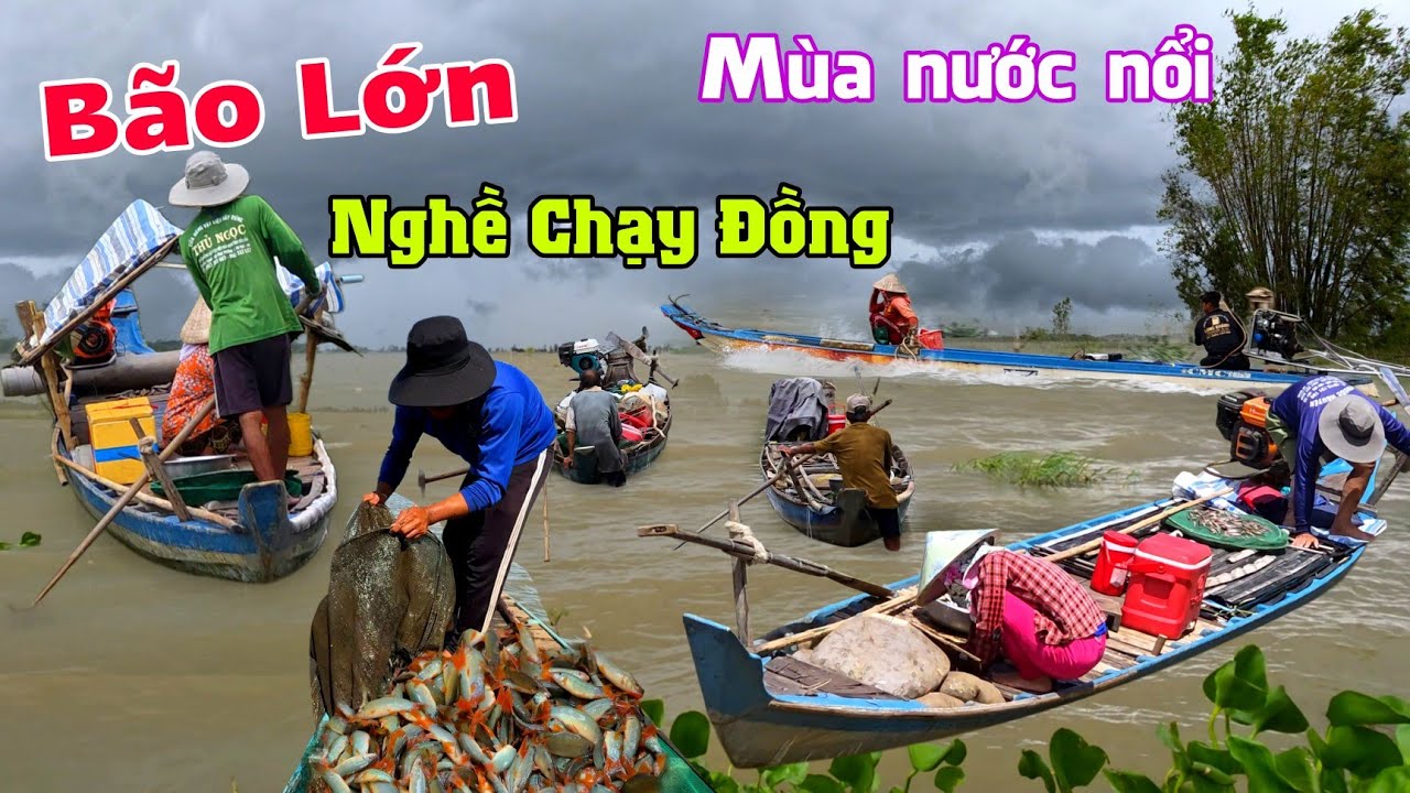 Bão lớn NGHỀ CHẠY ĐỒNG giăng lưới cá mùa nước nổi vùng biên giới Campuchia quá khổ