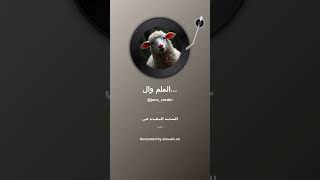الملم والدم Lammfell und Blut 1