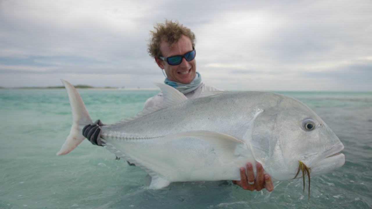Tagging Giant Trevally in the Seychelles