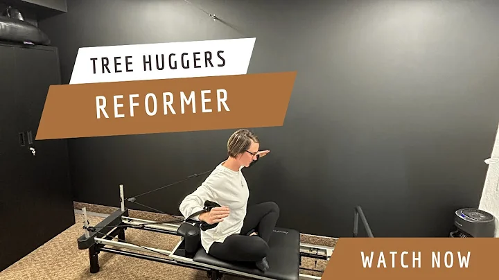 Tree Huggers For Upper Body Strength On The Reformer | Pelvic Floor For Moms