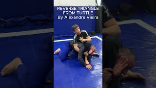 REVERSE TRIANGLE FROM TURTLE