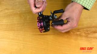 Famous Eagle Claw Premium Inline reel Wealth