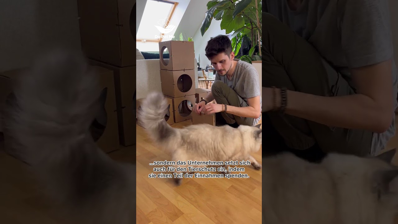 Das Lieblingshaus deiner Katze – Royal Castle Aufbau & erster Test 🏰🐾