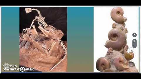 Evolution and Natural selection Part 1