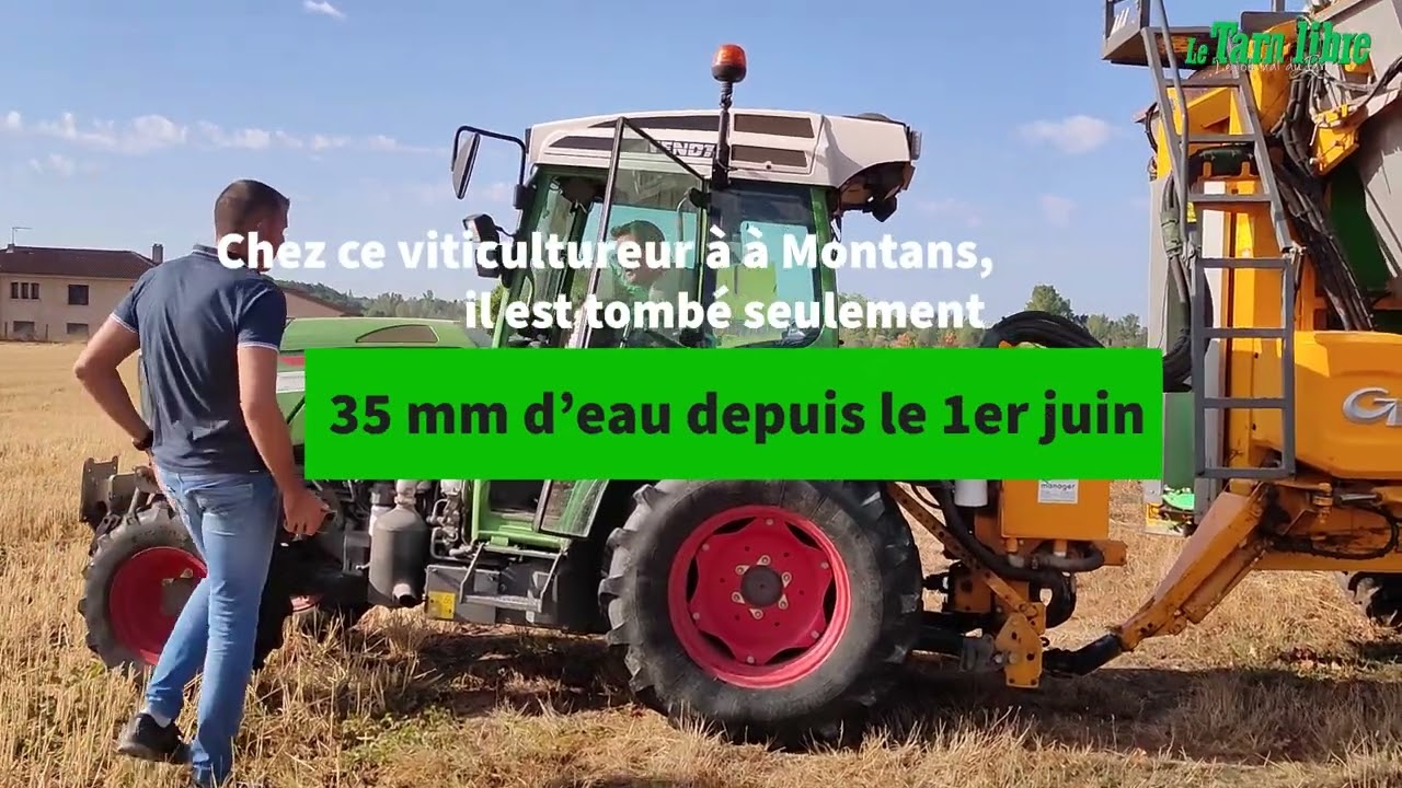 Les instantanés du Tarn libre - Vendanges 2022 dans le Gaillacois