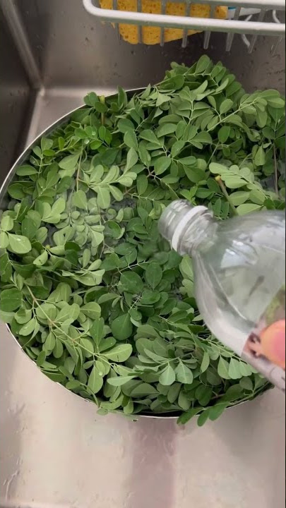 🌿How to make moringa powder at home and save money