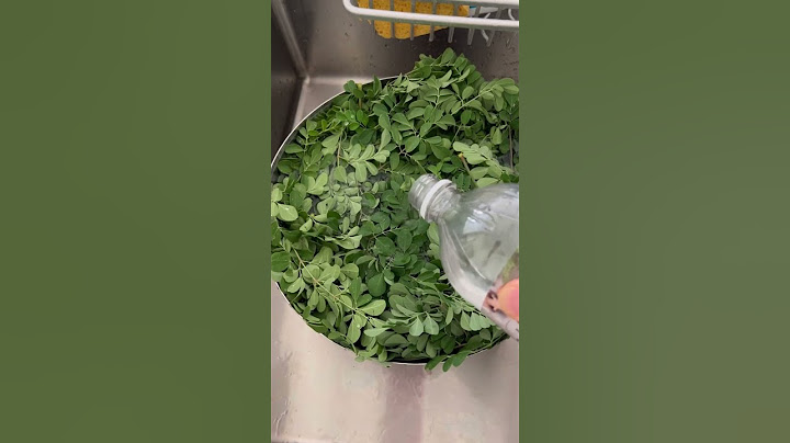 🌿How to make moringa powder at home and save money