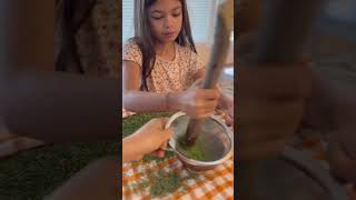 How to make moringa powder at home and save money