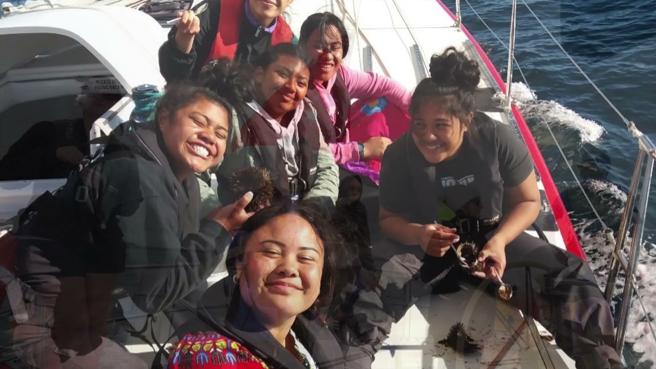 BlueLight Waiata   HD 720p