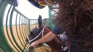 Inside the Starting Gate: Sandy Bottom Stakes - Colonial Downs - Chasten 