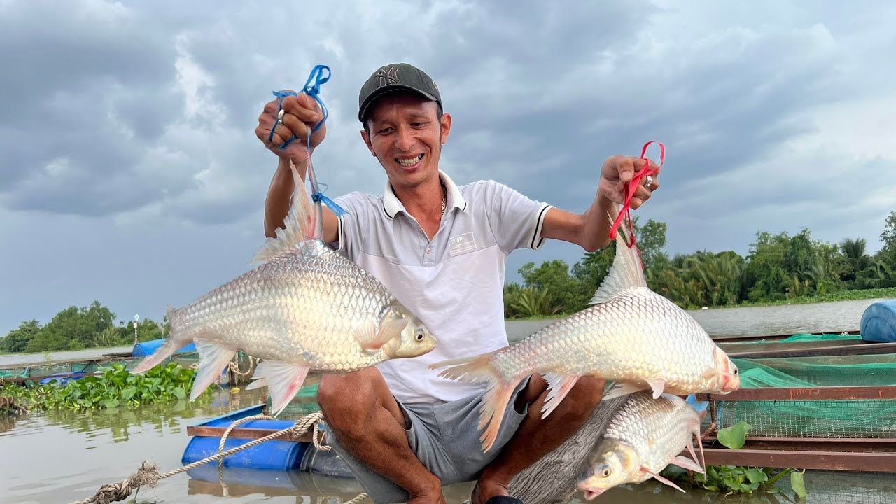 THẦY TÂM LÚ DẮT ĐI BÈ CÂU CÁ TRA KHỦNG, MÀ DÌNH TOÀN CÁ CÓC