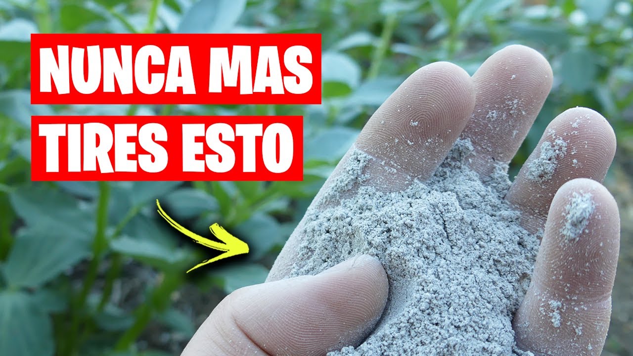 ¡CENIZA LIQUIDA! Un Potente Abono Casero que Consigue más FLORACIÓN y FRUTOS | La Huerta de Ivan