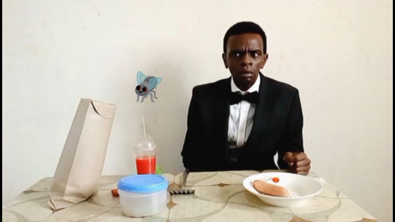 I CAN'T CATCH THIS STUPID FLY!! 😫🤣