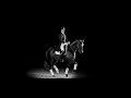 Darkside || Equestrian Music Video