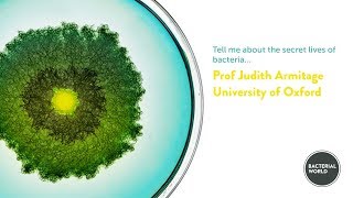 Tell me about the secret lives of bacteria…