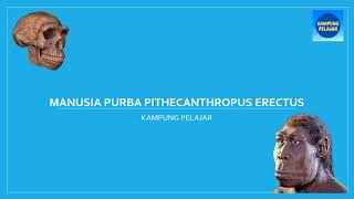 SEJARAH - Manusia Pubra Pithecantropus Erectus