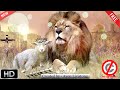 122, Free Christian Loop Background Video HD No Copyright / lione / Chri...
