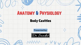 Body Cavities