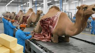 Nextgen Master is your ultimate desHow Camel Butter Is Made in Factory | Full Production Processtina