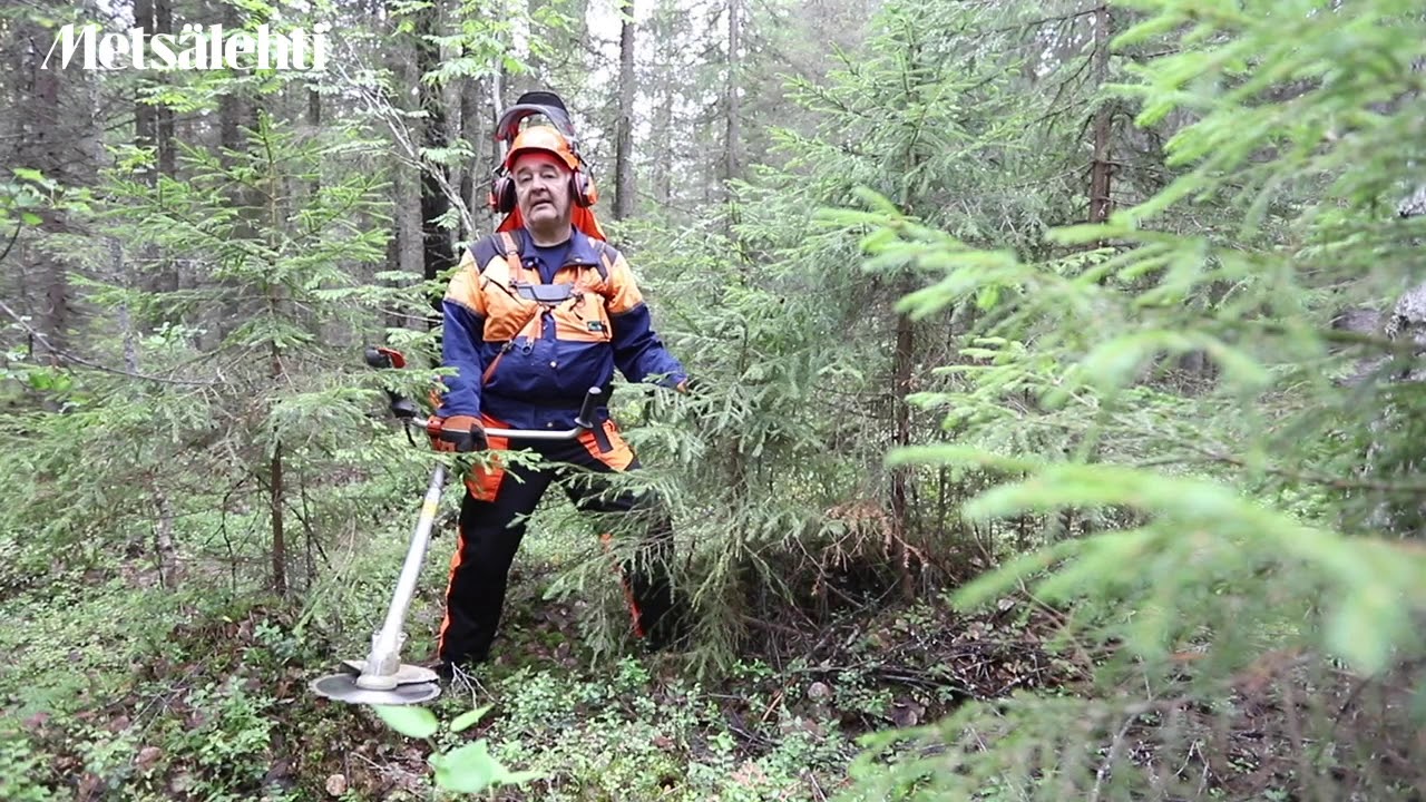 Metsän ennakkoraivaus