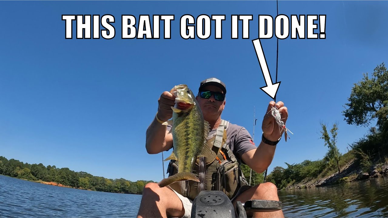 Early September Bass Fishing Throw This Bait Now!