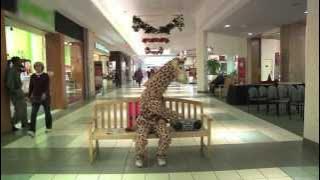 Royal Hoax - Shiver Shake