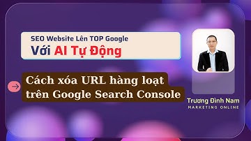 Cách xóa url hàng loạt trong Google Search Console