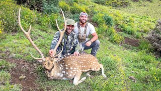 CHAD MENDES' MAUI AXIS DEER HUNT WITH HUSH CREW!