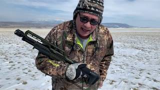 KELTEC KS7 SHOTGUN RECOIL FIXED and TESTED 617
