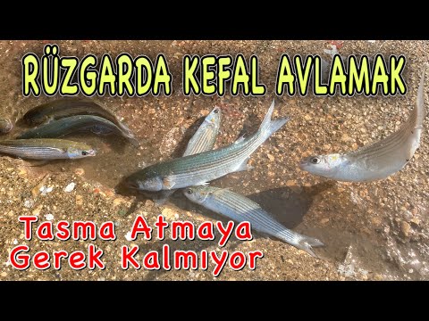 KEFAL AVI / HAYALET İĞNE SİSTEMİYLE ZORLANMADAN KEFAL AVLAMAK #kefal #kefalavı #fishing