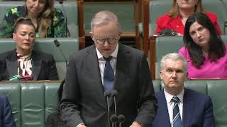 IN FULL Anthony Albanese delivers national apology to thalidomide survivors  ABC News