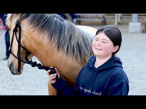 Follow That Horse 4: Showcase and Adoption