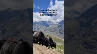 #manalitrip #manali #manalidiaries #himachalpradesh #travel #explore #shorts #viral #share