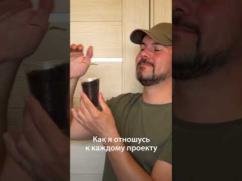Как я отношусь к каждому проекту
