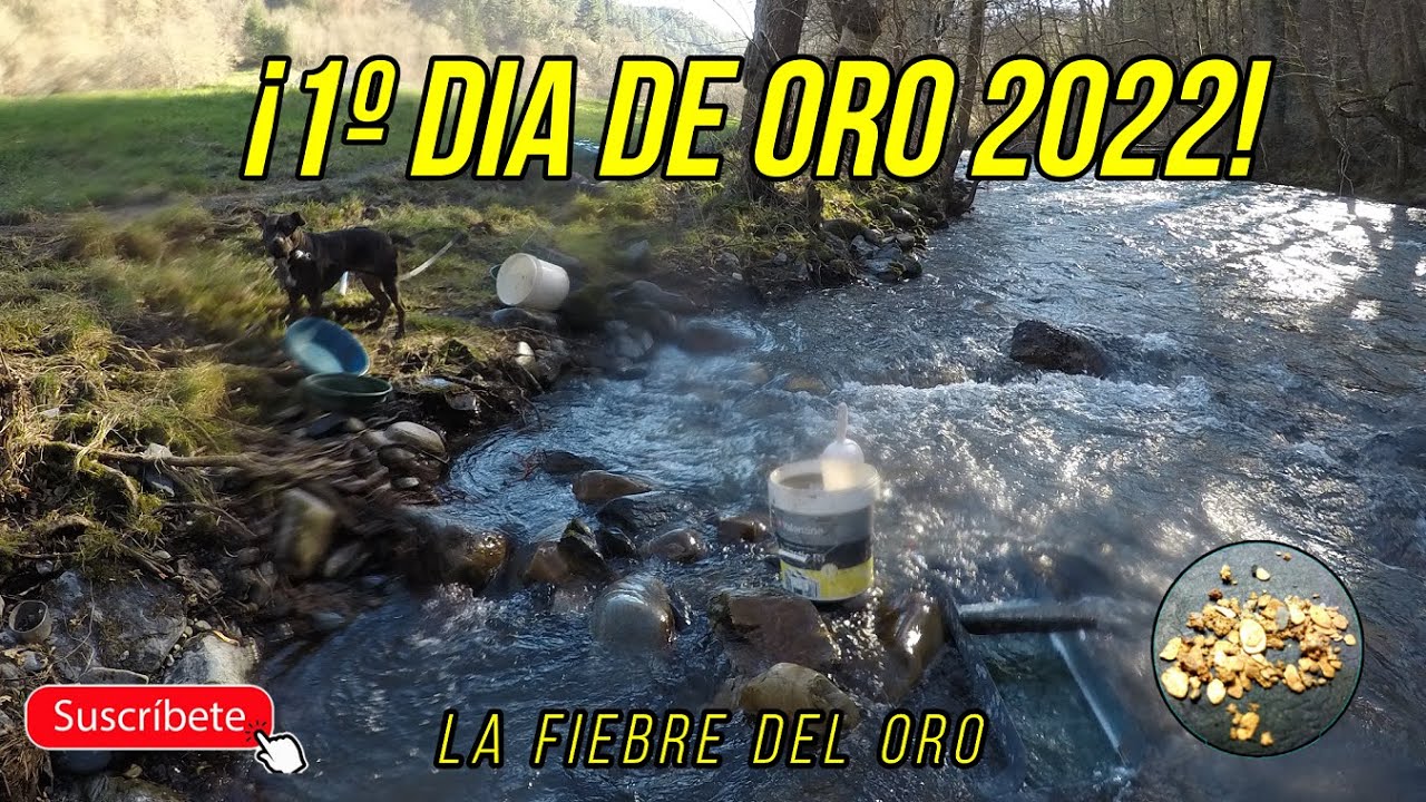¡1º DIA BUSCANDO ORO 2022! LA FIEBRE DEL ORO - YouTube