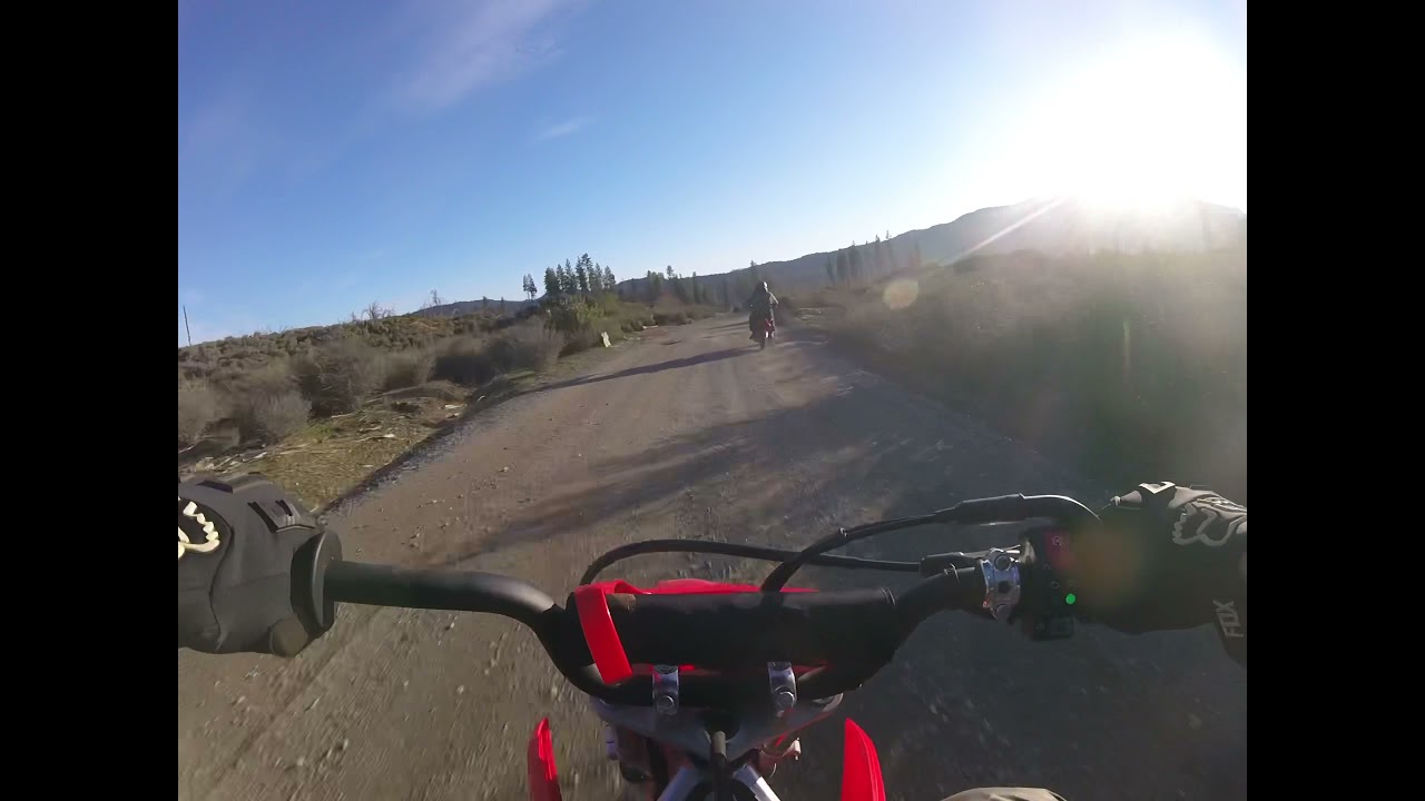 2022 crf 110f top speed  52mph