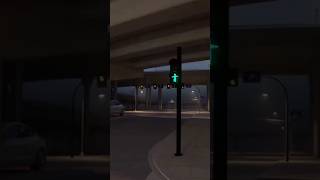 Chasing you 😉 #Savage_me.10 #Global_Glimmer #viral #short